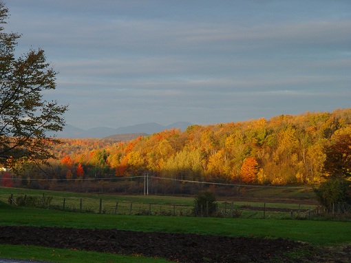green field in fall