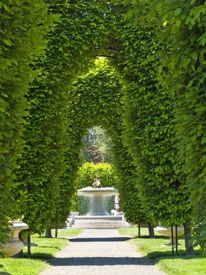 water fountain and tree archway