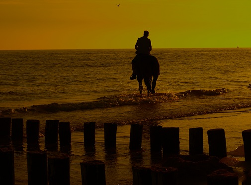 horse and rider on beach