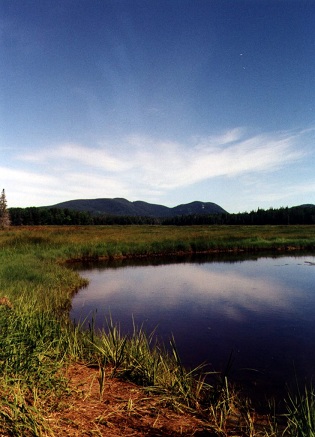 Maine blue lake surrounding green grass and mountains with blue sky and clouds