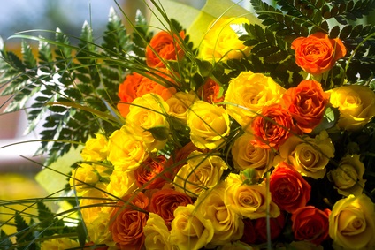 orange and yellow roses