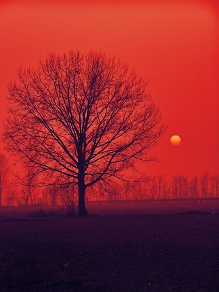 sun setting in a red sky