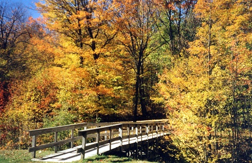 autumn leaves and bridge
